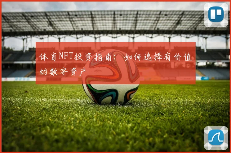 体育NFT投资指南:如何选择有价值的数字资产